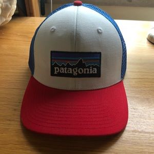 Patagonia Trucker Hat